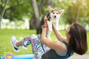 Our Favorite Workouts with Our Canine Friends